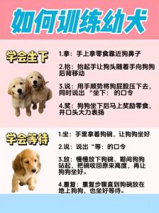 驯服或迷失？（怎么把小女朋友训成小狗）