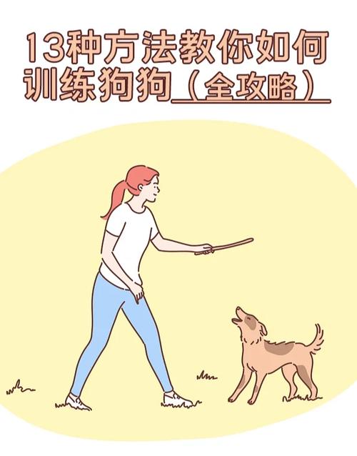 别让她像狗一样听话，健康亲密关系靠真诚尊重（如何训练女生像小狗一样听话）