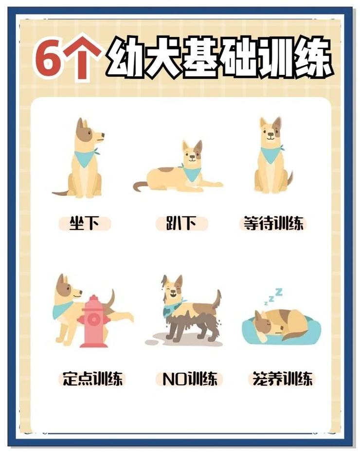 专注唤回随行，建立感情（训狗模式夜场最简单三个步骤）