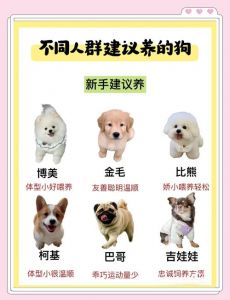 品种健康性格环境（怎样选择优秀的小狗）