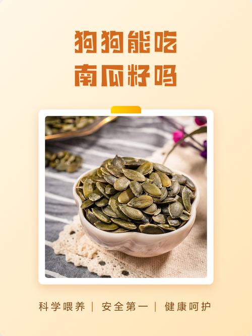 喂狗狗南瓜要煮熟，生食易消化（狗狗吃生南瓜好还是熟南瓜好）