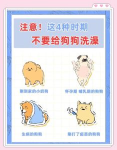 满月小狗体味重正常，洗澡有风险，不建议勤洗（刚满月小狗体味重可以每天洗澡吗）
