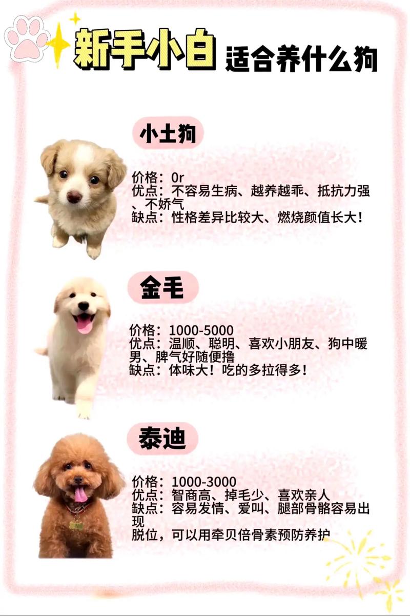 简单好养又治愈的宠物推荐（建议懒人养的10种宠物）