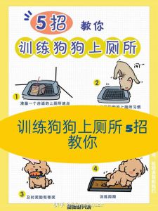 柚子皮防狗尿，薄荷香薰也有效（驱赶狗拉屎拉尿最有效方法）