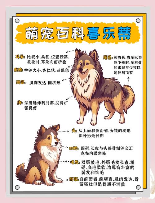 体型性格分类选适合（狗品种大全100种）