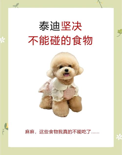 牛油果洋葱勿喂，狗粮要选好！（泰迪狗不能吃什么水果）