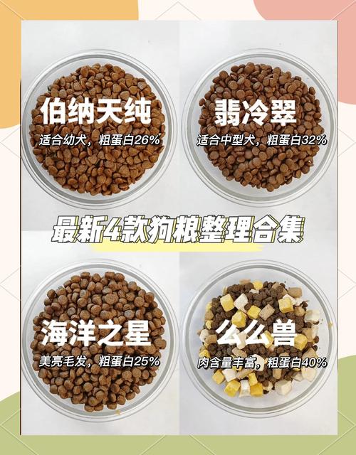 长期吃狗粮伤狗狗？均衡营养是关键！（狗狗经常吃狗粮有什么影响）