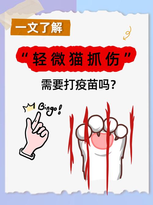 猫抓伤要打疫苗吗？看伤口和猫情况！（不小心被家养猫抓伤要打疫苗吗）