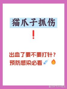 猫抓伤需谨慎，疫苗伤口要当心（自家养的宠物猫抓一下需要打针吗）