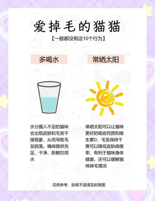 夏季猫咪掉毛多？调整饮食勤梳毛，洗澡减次用专用，缓解压力少掉毛（夏季猫咪掉毛厉害怎么办）
