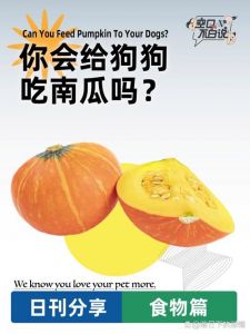 生熟优缺点，搭配宜忌（小狗吃生南瓜还是熟南瓜）
