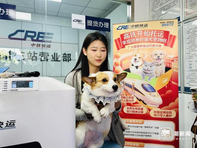 带符合条件的猫犬乘高铁，全程隔离安全舒适（宠物狗可以上高铁吗）