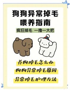 狗狗洗澡后掉毛多？检查产品频率和饮食！（狗狗去洗完澡后掉毛严重不正常）