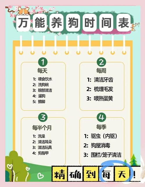 一户一犬？宠物管理将严管！（2026宠物新规一户能养几只宠物犬）