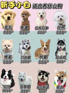 10种好养活狗狗推荐（十大最好养狗排名）