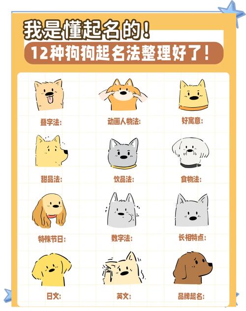 黑白黄三色犬趣味昵称（宠物犬起名 黑白黄三色）