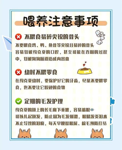 养狗干净小妙招（狗狗怎么养才干净）