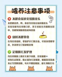 养狗干净小妙招（狗狗怎么养才干净）