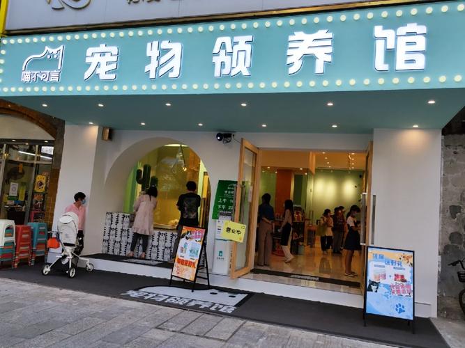 带猫跨省合法手续与安全，流浪狗寻收容所需核实资质（宠物收养所在哪里）