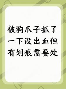 狗爪划伤留白印要不要打狂犬疫苗？（被狗爪子划了一道白印）