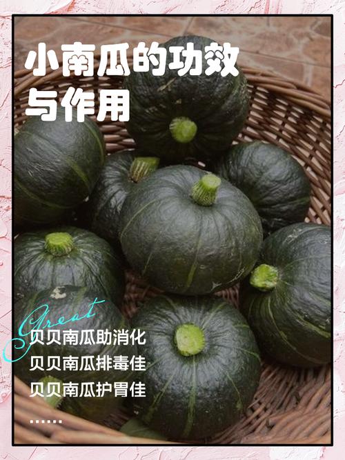 蒸南瓜喂狗需谨慎，易致胀气肥胖，注意营养均衡（南瓜蒸熟喂狗的害处）