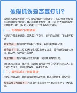 猫抓伤需打疫苗吗？看情况咨询医生（家养猫抓一下要打狂犬疫苗吗）