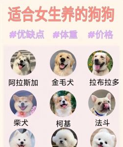 选狗看性格需求，养狗责任乐趣并存（女人养大狗狗的好处和坏处）