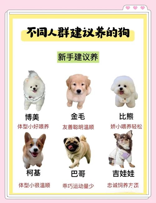 拉布拉多贵宾比熊等前十名（十大家养宠物犬排行榜）