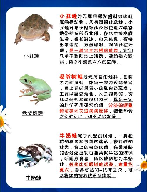 养宠物蛙，看种类选环境（蛙的品种及图片）