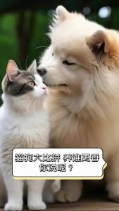 猫狗优缺点大比拼（狗和猫宠物品种）