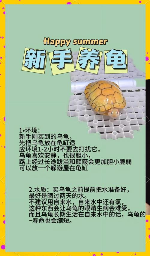 属牛人养龟选三只旺运，但数量因家庭情况而定（属牛的人养小龟多少只最合适）