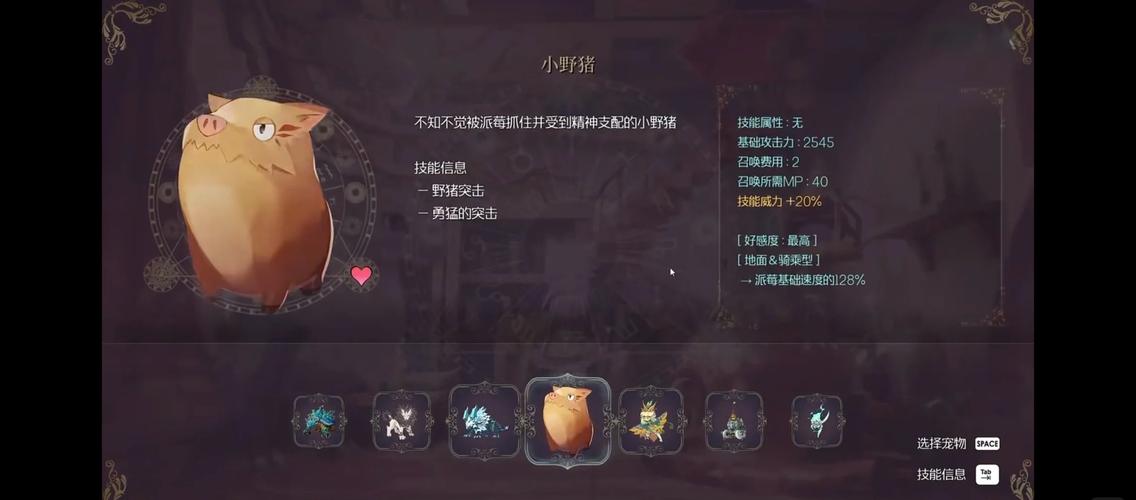 收集21宠物，白猫魅力独特！（魔女之泉2有多少宠物）