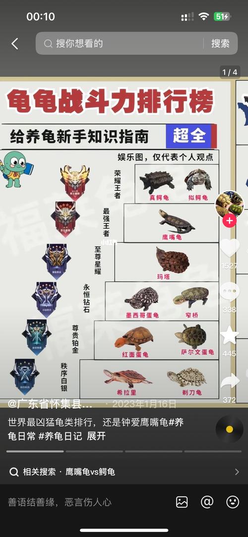 战术宠物选择与免费模式期待（乌龟服猎人宠物排名）