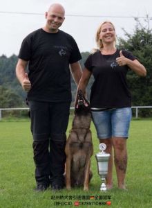 代宏静与狗狗的深度沟通之道（美女宠物犬训练庄园）