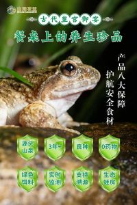 角蛙寿命看品种照顾好，几十年没问题（宠物蛙寿命）
