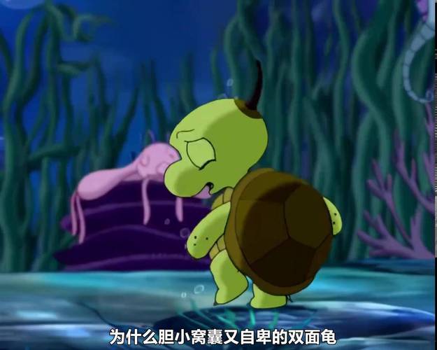 发现受伤无壳棱皮龟，亟需保护濒危海洋巨兽（双面龟没有龟壳图片）