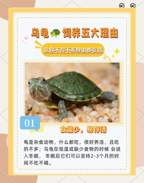 习性环境与健康（宠物龟行为ppt）