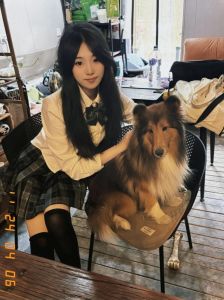 爱与责任守护宠物成长（美女宠物犬训练学校认妈了）