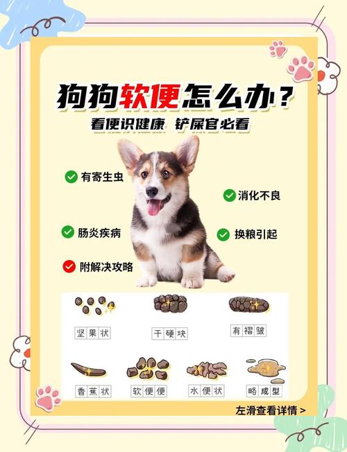 宠物粪便干爽不沾身，是消化系统高效吸收水分，加上排便后清洁行为共同作用的结果（为什么宠物拉屎不粘）