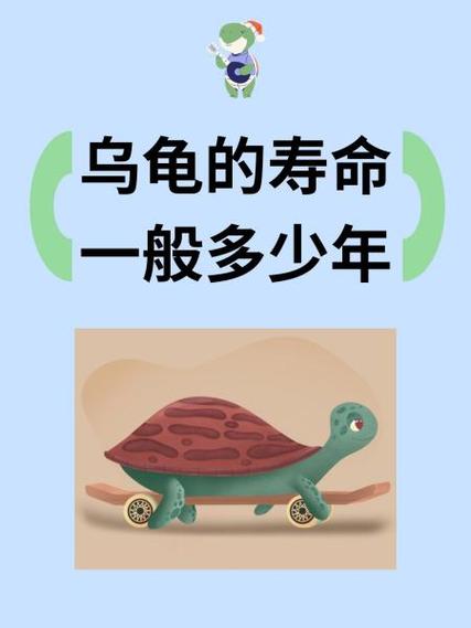 乌龟背甲纹路看年龄？（十几岁的乌龟代表人多少岁）
