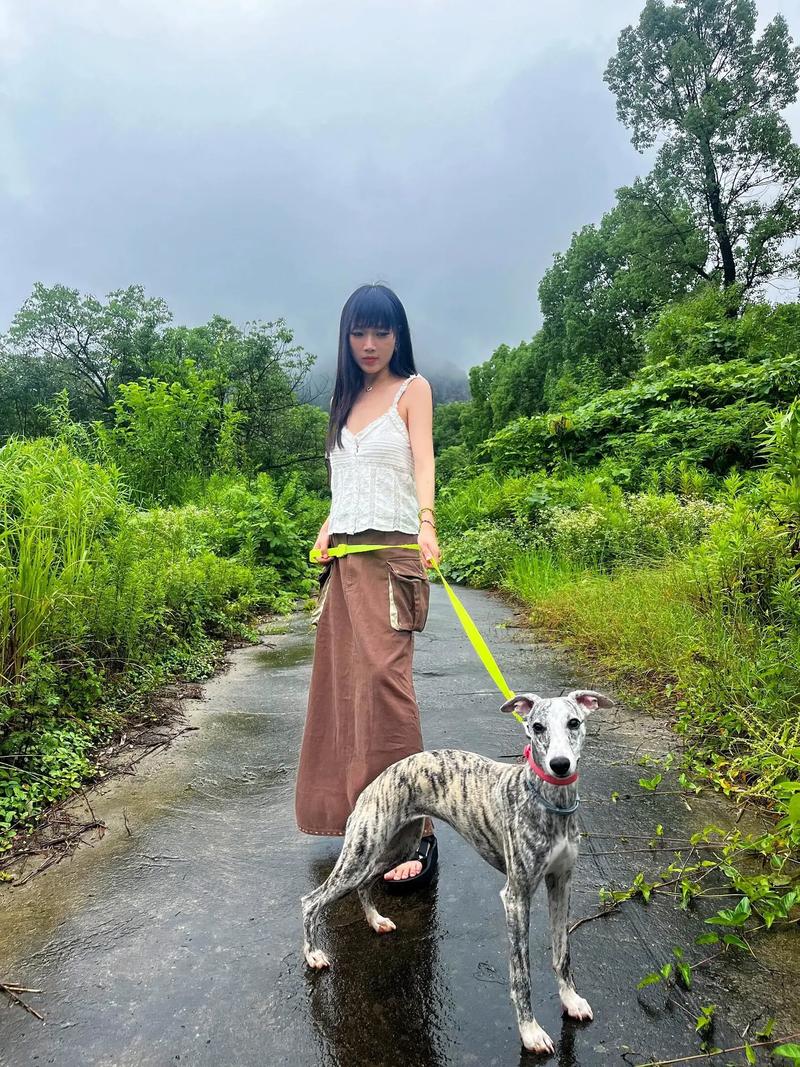 爱与责任守护宠物成长（美女宠物犬训练学校认妈了）