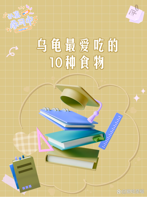 乌龟喂食看年龄季节，小龟多喂大龟少，冬季停食（乌龟一天吃多少食物）