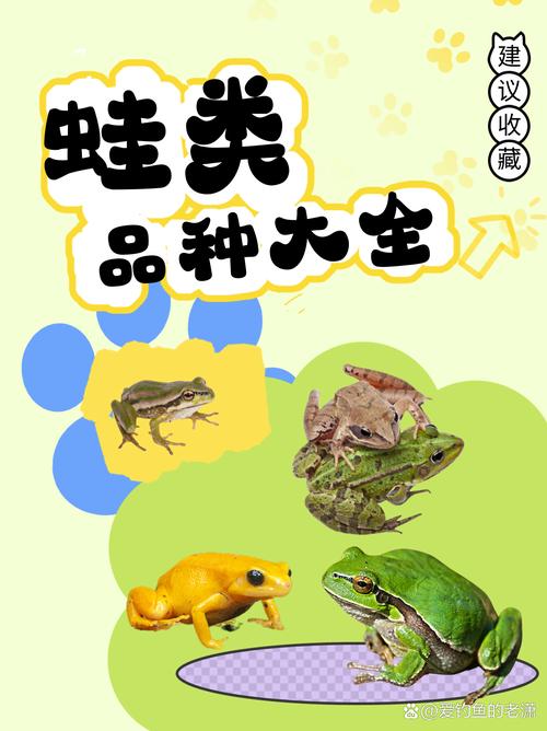 蛙类品种多 生态价值高（蛙类品种100种图鉴）