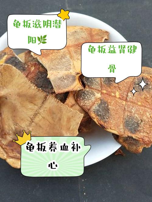龟壳功效多，火麻花生壳也神奇（乌龟壳的功效与作用及食用方法）