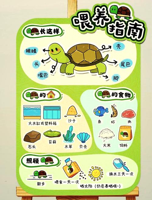 乌龟爱吃什么？鱼虫蚯蚓营养好（乌龟最爱吃的10种食物图片）