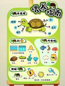 乌龟爱吃什么？鱼虫蚯蚓营养好（乌龟最爱吃的10种食物图片）
