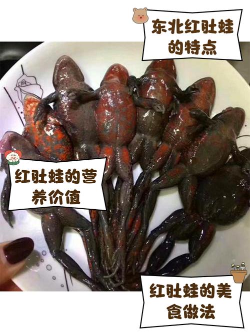 蛙状腹是什么病？需警惕！（蛙腹图片）