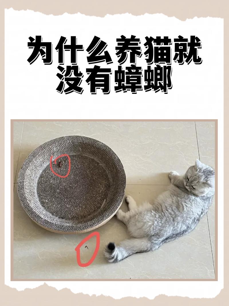 蜘蛛鸡蚂蚁蟋蟀（什么家养宠物吃蟑螂）