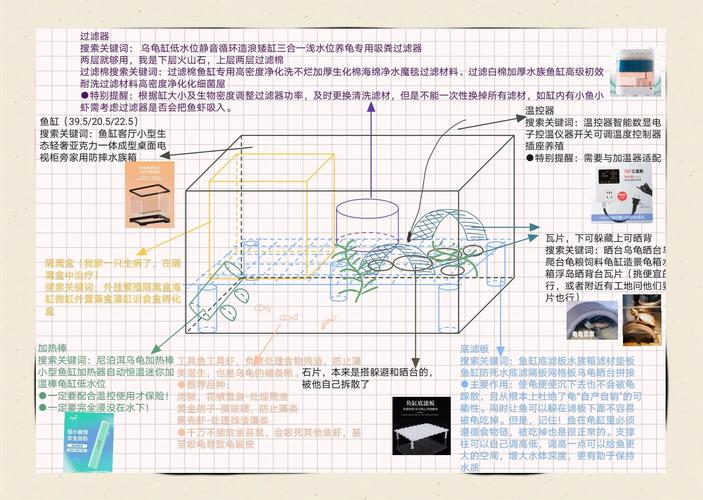 巧用空间，打造理想栖息地（做一张乌龟缸的正确布置图纸）