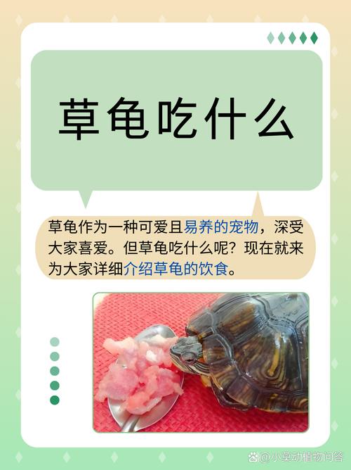 乌龟爱吃什么？鱼虫蚯蚓营养好（乌龟最爱吃的10种食物图片）